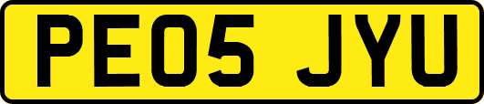 PE05JYU