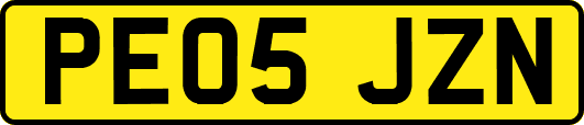 PE05JZN
