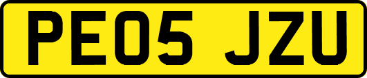 PE05JZU