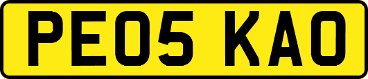 PE05KAO