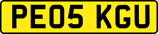 PE05KGU
