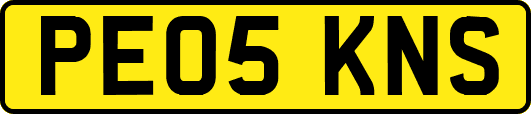 PE05KNS