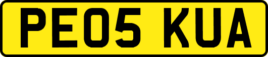 PE05KUA