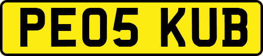 PE05KUB