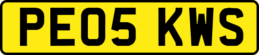 PE05KWS