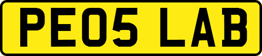 PE05LAB