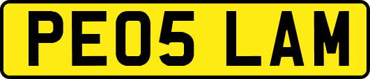 PE05LAM