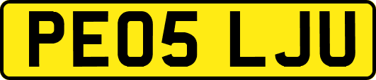 PE05LJU