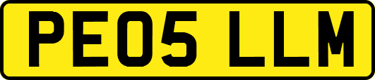PE05LLM