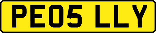 PE05LLY