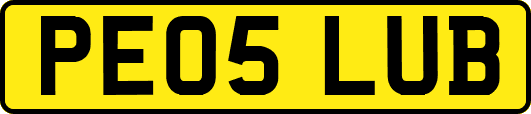PE05LUB