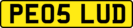 PE05LUD