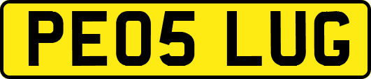 PE05LUG