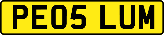 PE05LUM