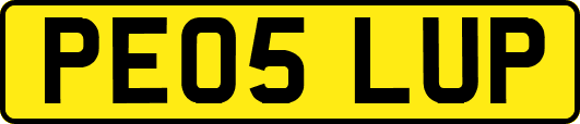 PE05LUP