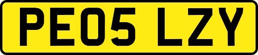 PE05LZY