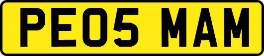 PE05MAM