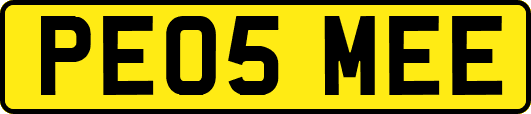 PE05MEE