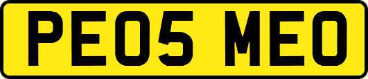 PE05MEO