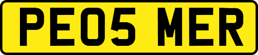 PE05MER