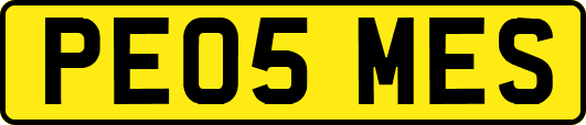 PE05MES