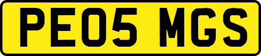 PE05MGS