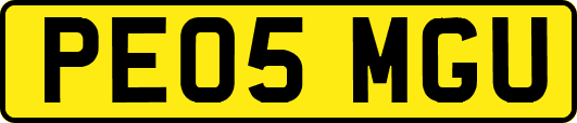 PE05MGU