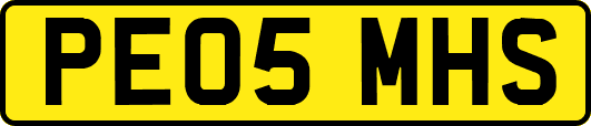 PE05MHS