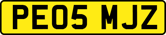 PE05MJZ