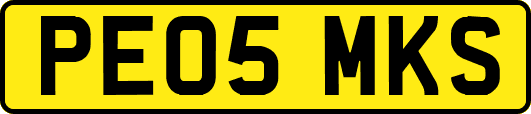 PE05MKS