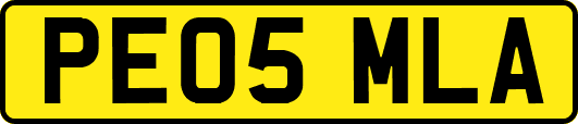 PE05MLA