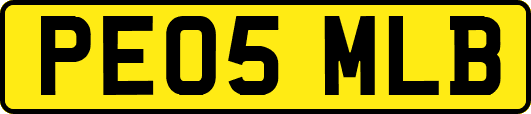 PE05MLB