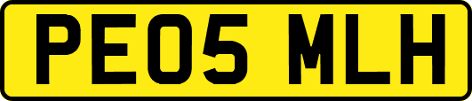PE05MLH