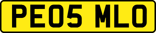 PE05MLO