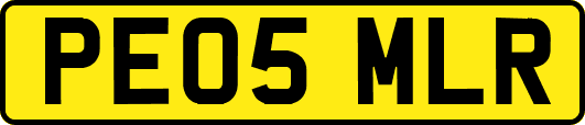 PE05MLR