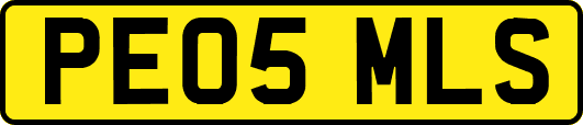 PE05MLS