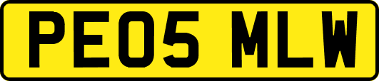 PE05MLW