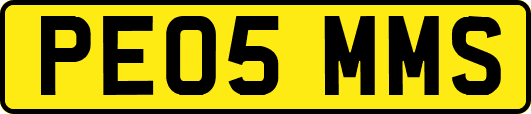 PE05MMS