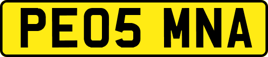 PE05MNA