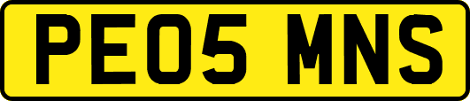 PE05MNS