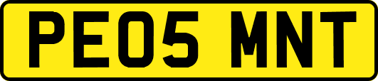 PE05MNT