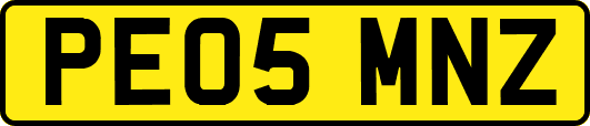 PE05MNZ