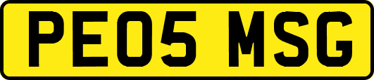 PE05MSG