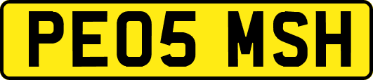 PE05MSH