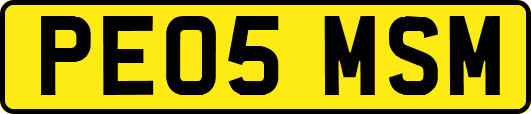 PE05MSM