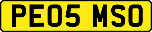 PE05MSO