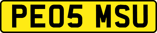 PE05MSU