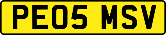 PE05MSV