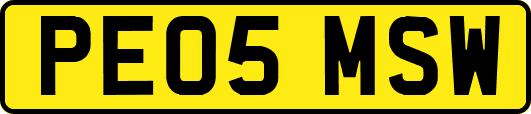 PE05MSW