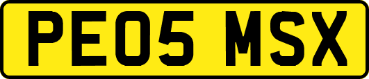 PE05MSX